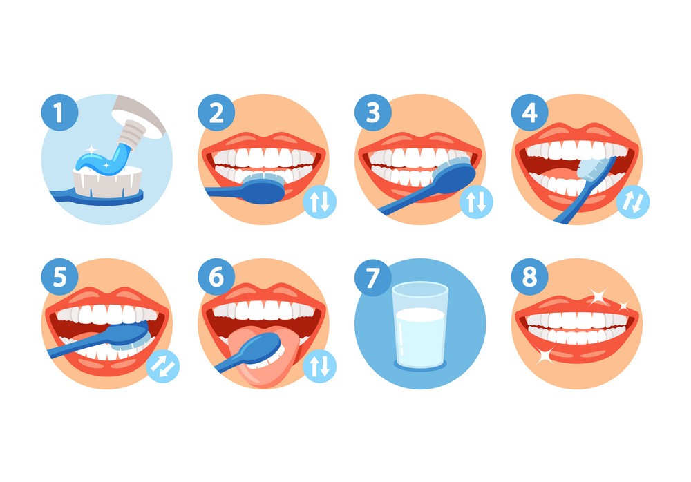 how to brush your teeth step by step infographic vector 48631691