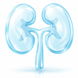 10 urologiya