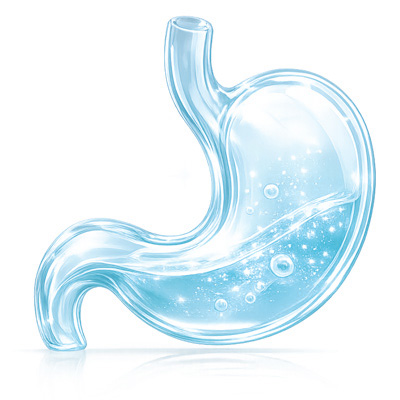 13 gastroenterolog