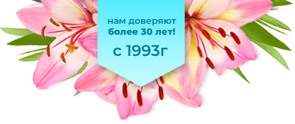 Клиника Надежда в Клину с 1993г